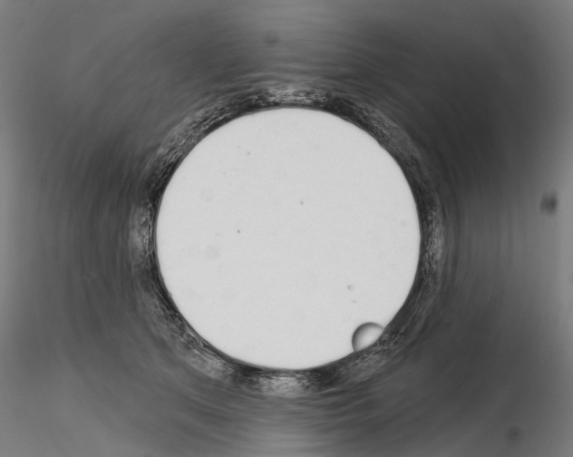 X0000115110513200912081324