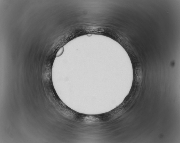 X0000115110515200912081324