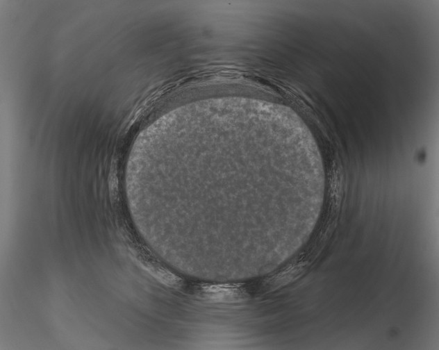 X0000115110516200912081324