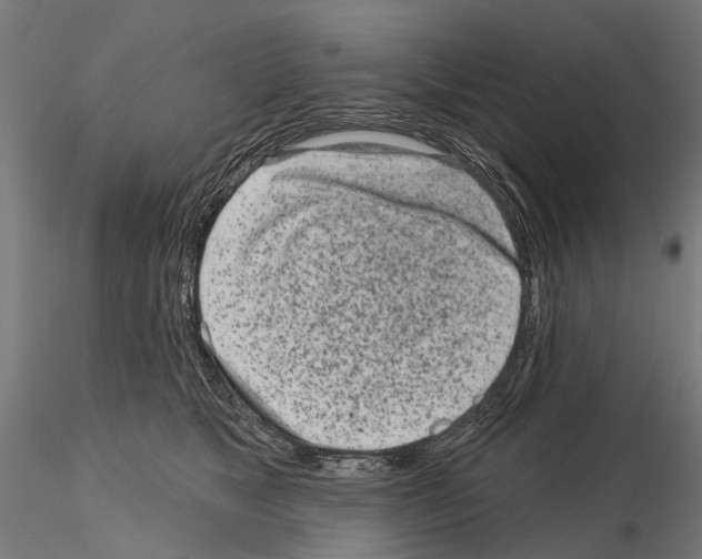 X0000115110517200912081324