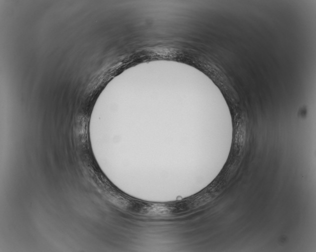 X0000115110518200912081324