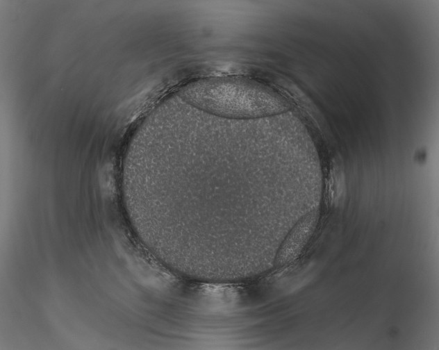 X0000115110520200912081324