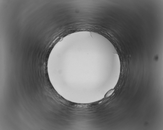 X0000115110524200912081324