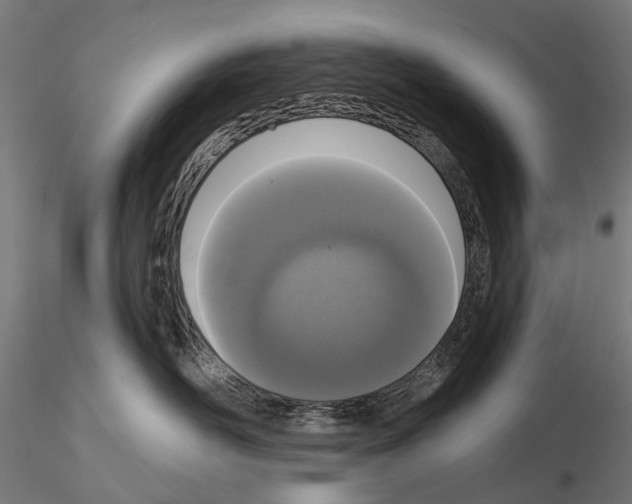 X0000115110526200912081324