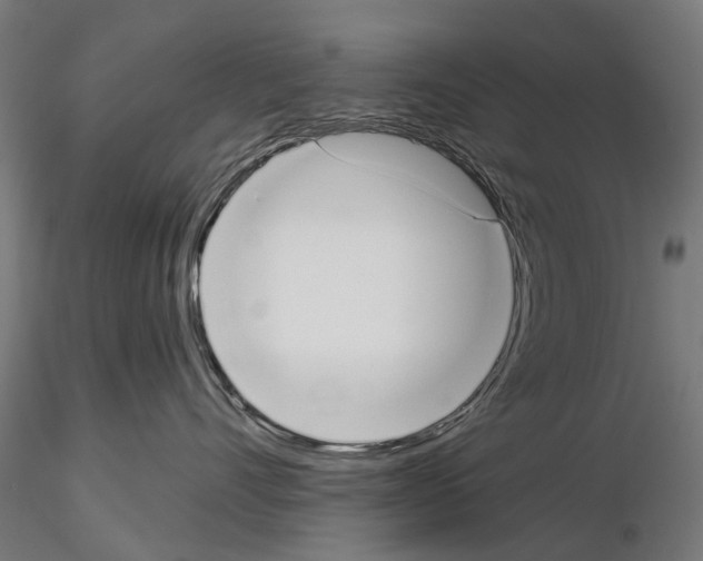 X0000115110528200912081324