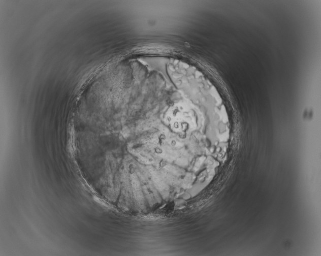 X0000115110529200912081323