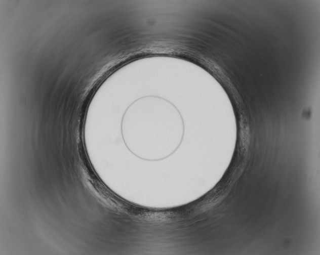 X0000115110530200912081323