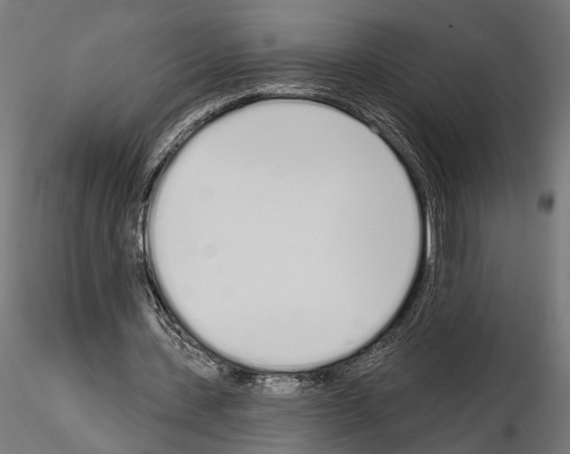 X0000115110531200912081323