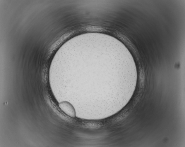 X0000115110533200912081323