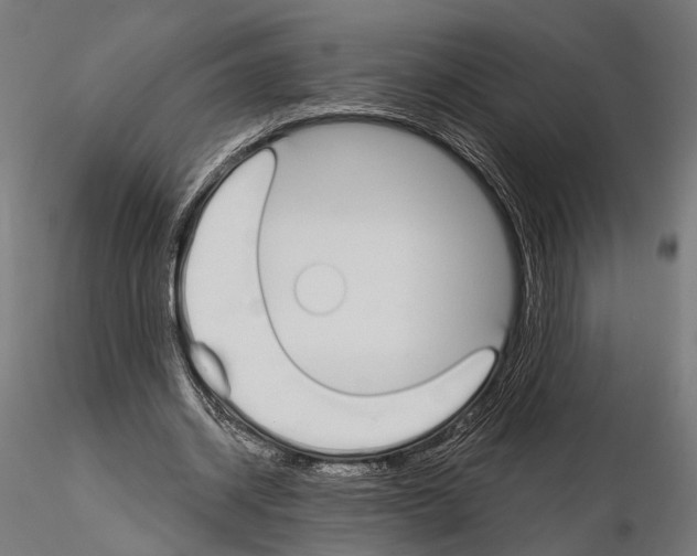 X0000115110534200912081323