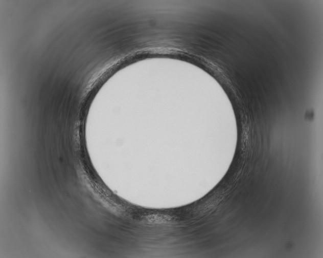 X0000115110535200912081323