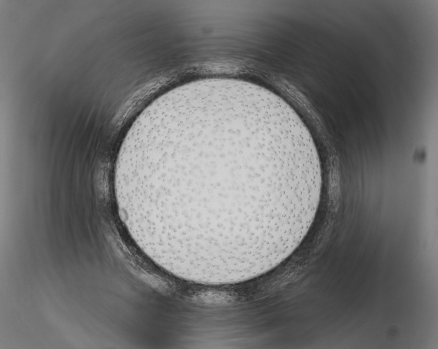 X0000115110537200912081323