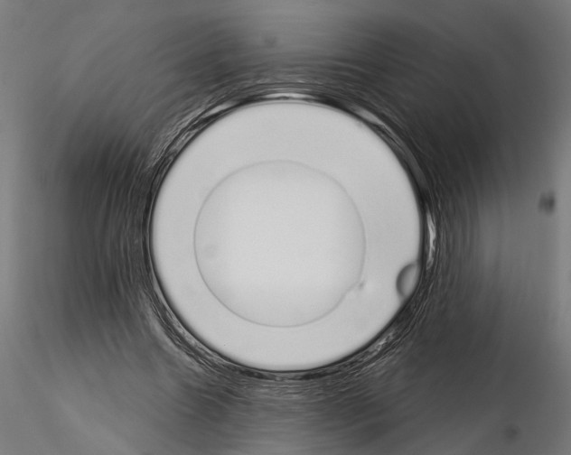 X0000115110538200912081323