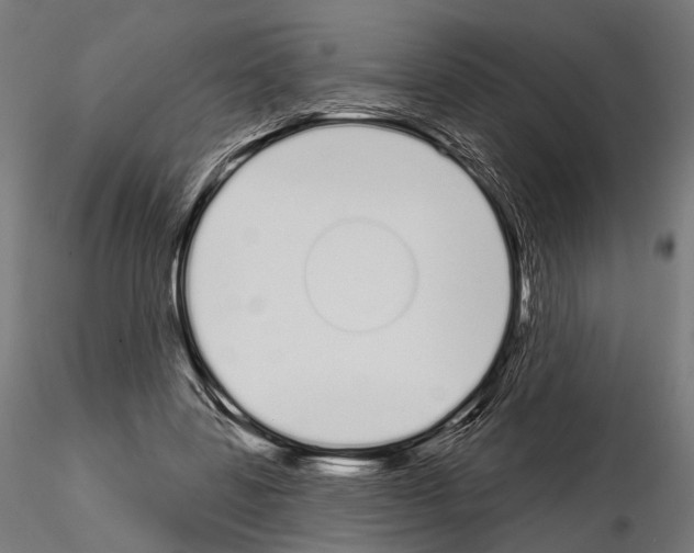 X0000115110539200912081323