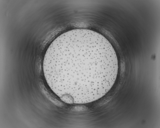 X0000115110541200912081323