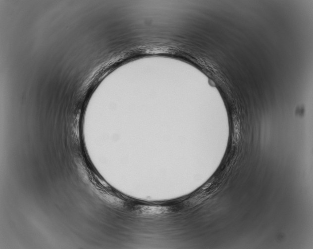 X0000115110543200912081323