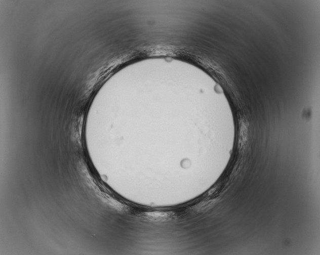 X0000115110545200912081323