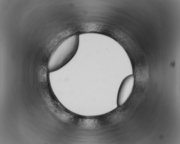 X0000115110546200912081323