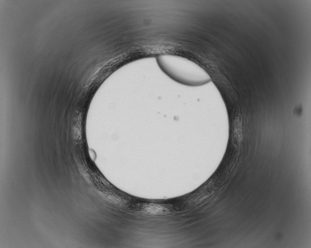 X0000115110547200912081323