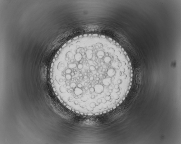 X0000115110550200912081324