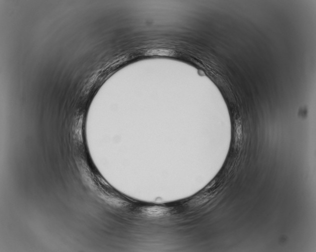 X0000115110551200912081324