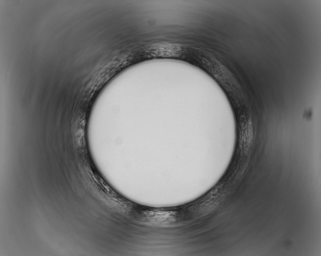 X0000115110553200912081324