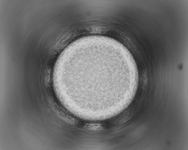 X0000115110554200912081324