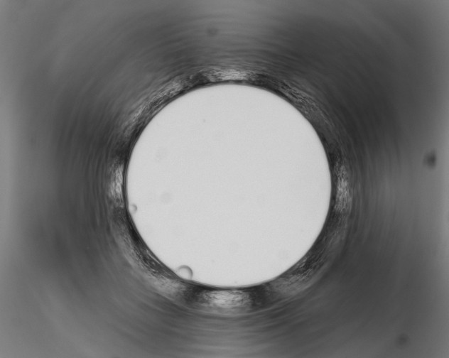 X0000115110555200912081324