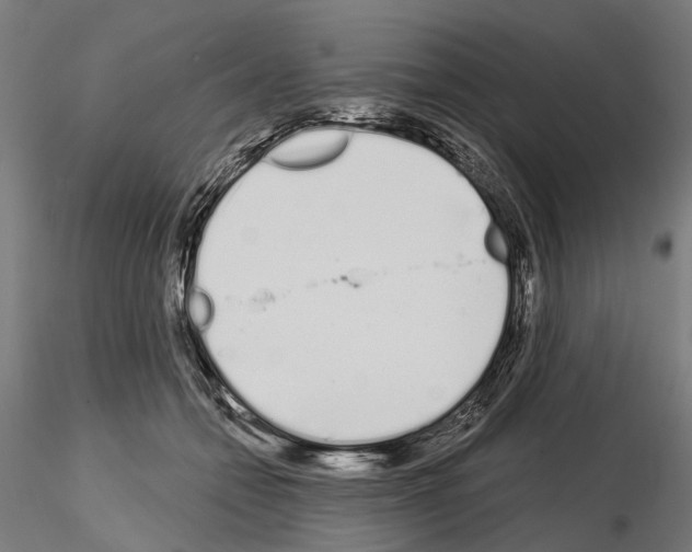 X0000115110558200912081324