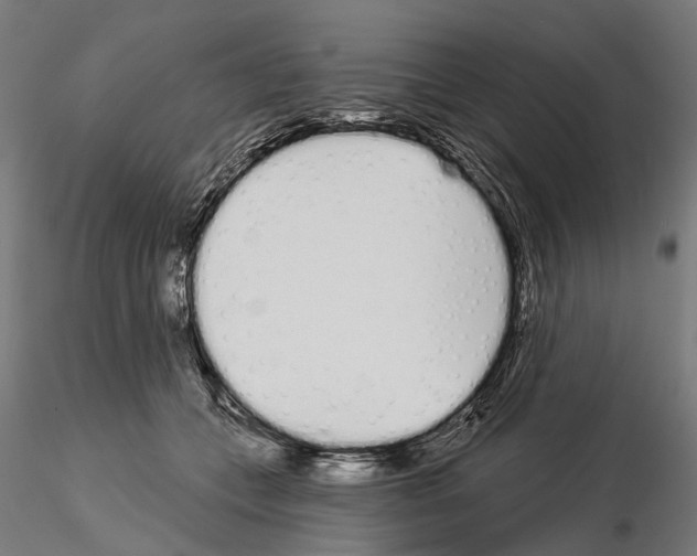 X0000115110559200912081324