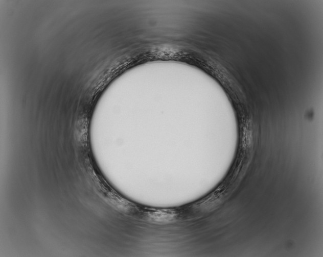 X0000115110561200912081324