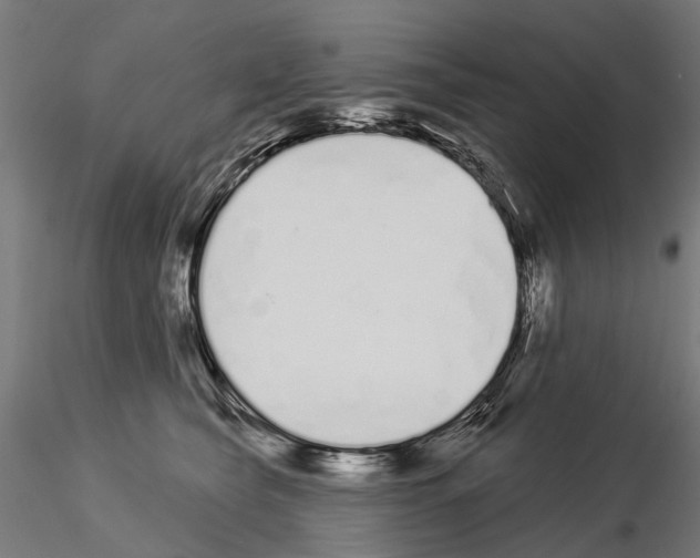 X0000115110565200912081324