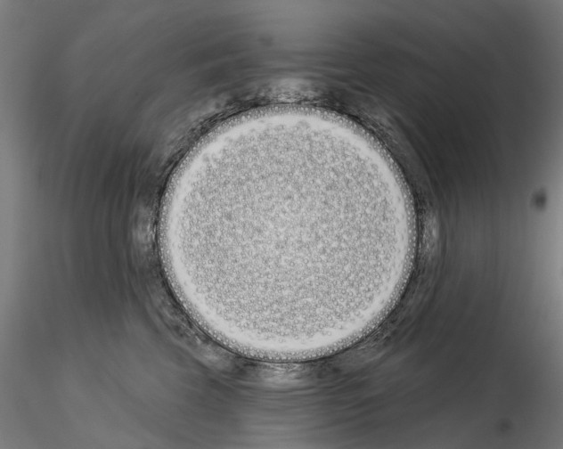 X0000115110569200912081324