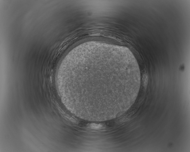 X0000115110570200912081324