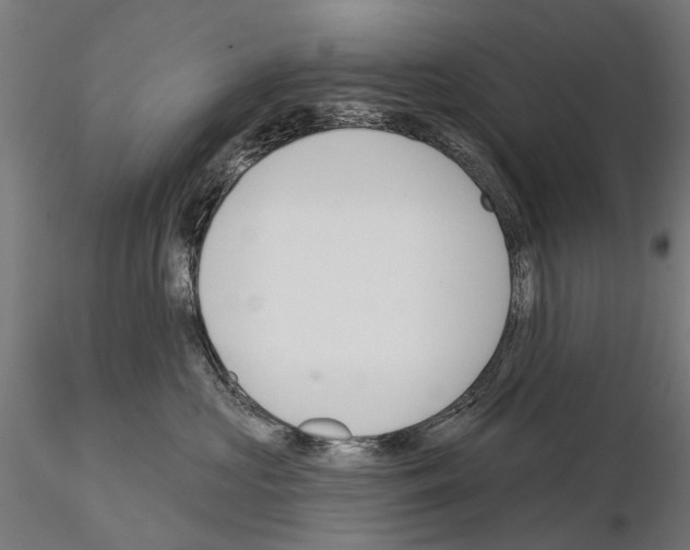 X0000115110573200912081324