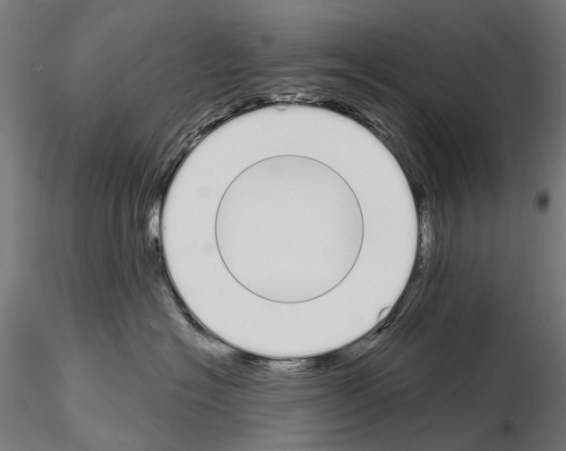 X0000115110574200912081324