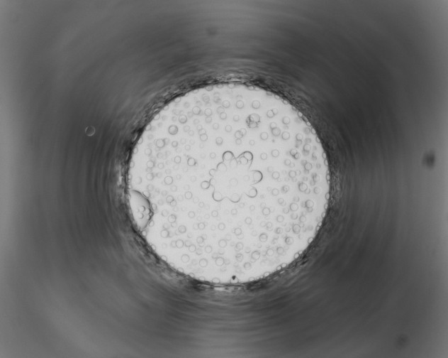 X0000115110575200912081324