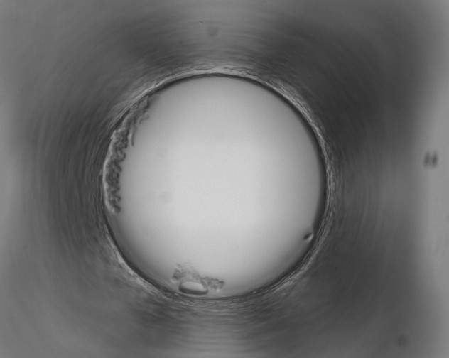 X0000115110577200912081323