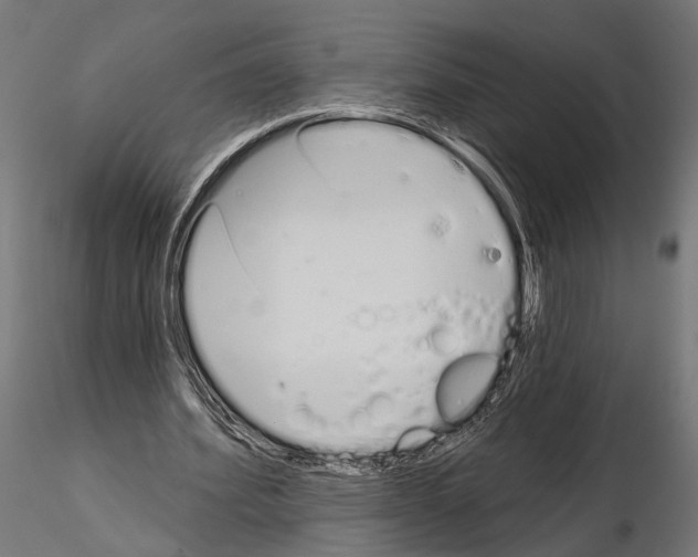 X0000115110580200912081323