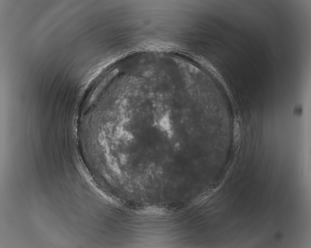 X0000115110581200912081323