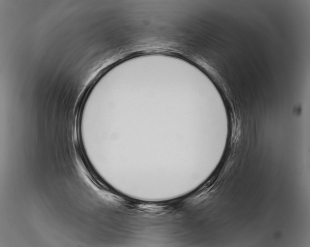 X0000115110582200912081323