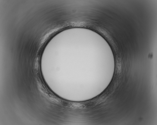 X0000115110583200912081323