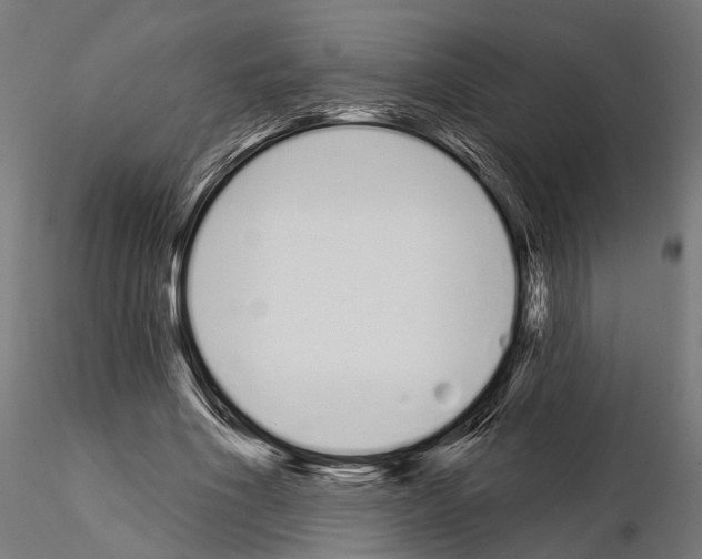 X0000115110586200912081323