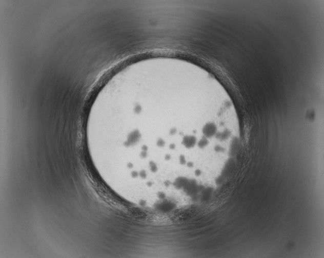 X0000115110588200912081323