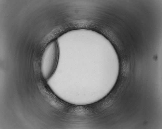 X0000115110589200912081323