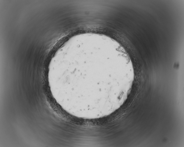 X0000115110592200912081323