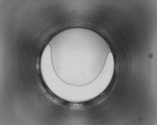 X0000115110593200912081323