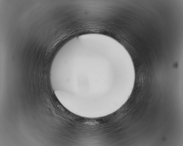 X0000115110595200912081323