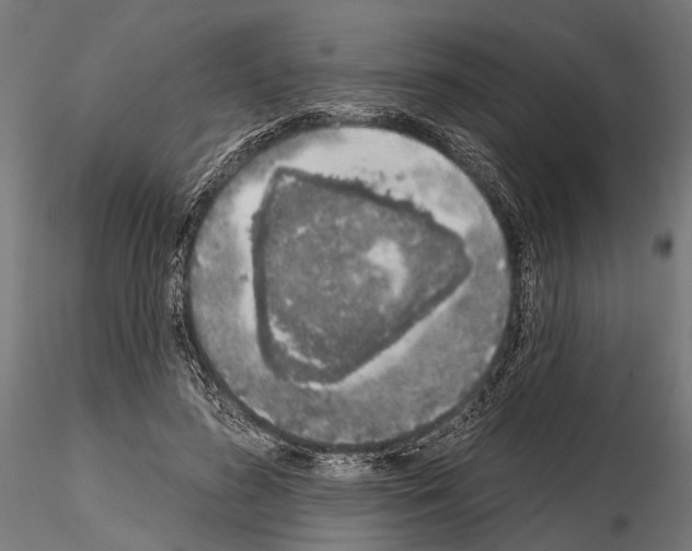 X0000115110596200912081323