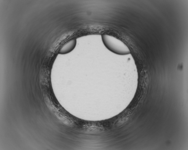 X0000115110597200912081323